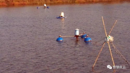 慶云海天水產(chǎn)養(yǎng)殖榮膺省級(jí)健康示范場，探索內(nèi)陸水產(chǎn)養(yǎng)殖與銷售新路徑